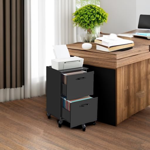 VASAGLE 2-Drawer File Cabinet, Small Rolling Filing Cabinet for Home Office, Printer Stand, for A4, Letter-Size Documents, 15.7 x 16.5 x 27.6 Inches, Ink Black UOFC040B16