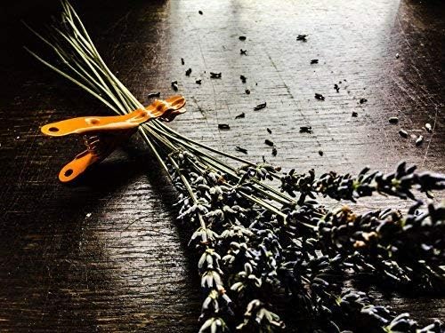 Extreme Clothespins | Saffron Orange | Solid 304 Stainless Steel | 20 Pack | Heavy Duty | Colorful | Laundry Pin | Clothes Pin | Chip Clip | Lifetime Product | No Plastic Parts | Made in Italy