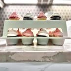 Cupcake Carrier, EXTRA TALL LID, Green Cupcake Holder Carries 24 Standard-Size Cupcakes, Muffin Traveler Two Tier Stand Reusable Cupcake Box