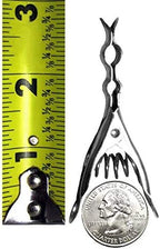 Henry Berry & Dairy Extreme Clothespins | Made in Italy | Solid 304 Stainless Steel | 20 Pack | Heavy Duty | Anti-Rust | Laundry Pins | Clothes Pins | Chip Clips | Lifetime Product | No Plastic