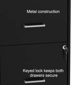 Staples 2-Drawer Vertical File Cabinet, Letter Size Documents, Lockable & Mobile, 18" D x 14" W x 26.3" H, Black