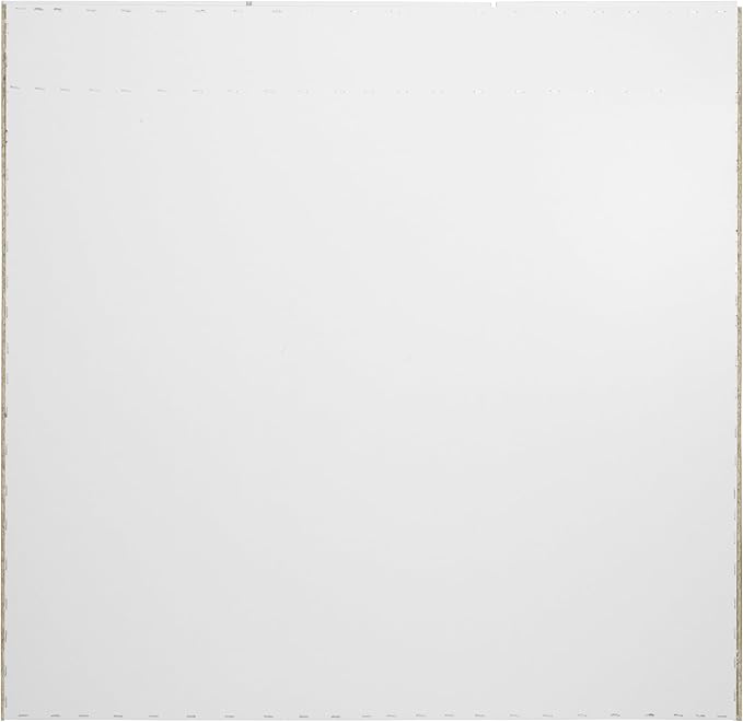 Design House Cyprus 25-in. Wide Medicine Cabinet, 3 Frameless Mirrored Doors, 2 Interior Shelves, Pre-Assembled, Surface or Recess Mounted, White/Clear, 25.1 in. W x 4.4 in. D x 24.5 in. H, 597484