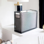 BLU MONACO Black Desk Organizer Set | 5-Piece Metal Office Supplies Collection with Hanging File Organizer, Magazine Holder, Pen Cup, Sticky Note Holder & Letter Sorter | Workspace Organization