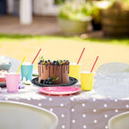 5pcs 10Inch Round Cake Pies Carriers Plastic Disposable Cake Containers with Dome Lids Clear Bundt Cake Boxes
