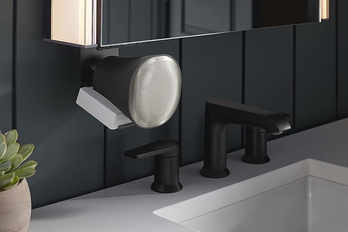Kohler 81145-SLE-DA1 Maxstow Frameless Medicine Cabinet Mirror with Lights, LED Light, Mirror Door & Staggered Shelves, Rectangular Frame, 22 in. W x 24 in. H