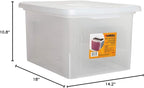 Lorell Storage Case File Box, Clear (LLR68925CT)