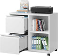 DEVAISE Lateral File Cabinet, 2 Drawer Filing Cabinets with Lock & Wheels Fits Letter/A4 Size for Home Office, Printer Stand with Adjustable Shelf (Metal, White)