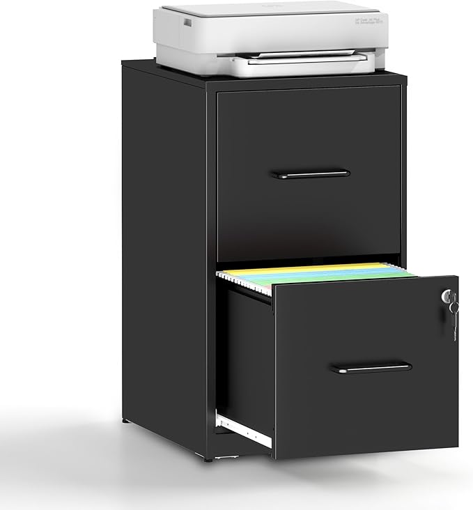 2 Drawer File Cabinet,Vertical Filing Cabinets for Home Office,Metal Steel Storage Cabinet for Letter/Legal Size File,Assembly Required(Black)