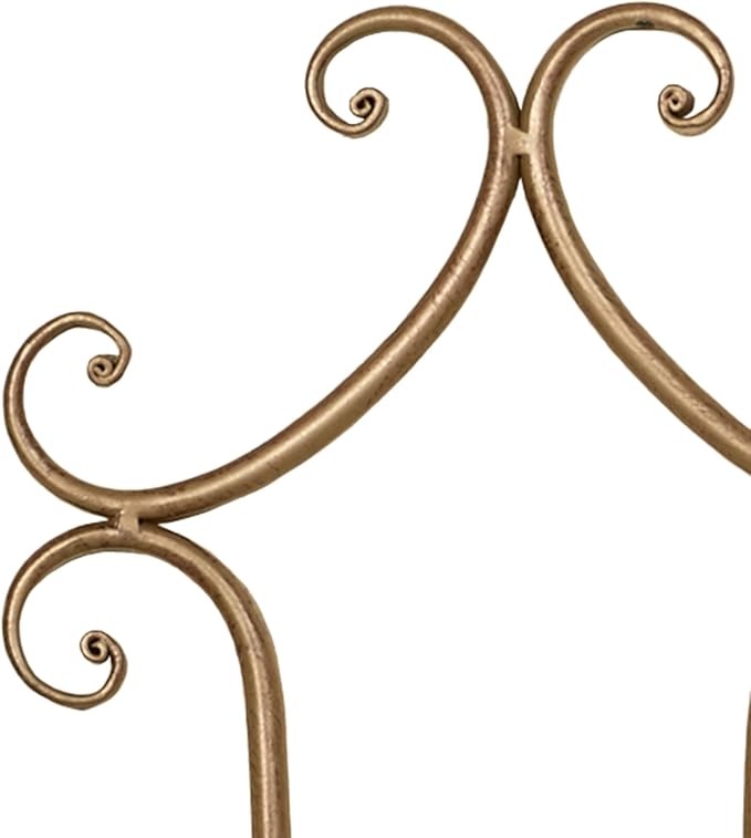 Touch of Class Regalla Petite Plate Rack - Vertical Plate Display - Hanging Plate Rack - For 6-8" dia. Plates - Satin Gold Finish - Two-plate is 22 inches - Hardware Included