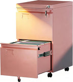 METAN Metal 2 Drawer File Cabinet with Lock, Mobile File Cabinet Under Desk for Letter/Legal Size,Assembly Required,Pink
