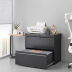 2 Drawer File Cabinet, File Cabinets for Home Office, Printer Stand, File Cabinet with Lock, Lateral Filing Cabinet for A4/Letter/Legal Size File Folders, Assembly Required(Black)