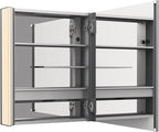 Kohler 81145-SLE-DA1 Maxstow Frameless Medicine Cabinet Mirror with Lights, LED Light, Mirror Door & Staggered Shelves, Rectangular Frame, 22 in. W x 24 in. H