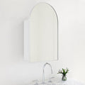 TEHOME 20 x 30'' Polished Nickel Arched Bathroom Medicine Cabinet with Mirror Recessed and Surface Mounted Medicine Cabinet Mirror