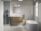 Kohler 81145-DA1 Maxstow Frameless Surface Mount Bathroom Medicine Cabinet, 20 in. W x 24 in. H, Dark Anodized Aluminum