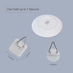 12 Pieces Invisible Vertical Plate Holders - 6 Pieces Plate Hangers for The Wall with 10 Pieces Wall Hooks for Displaying Plates, Platter, Dish (Gold, 6/8/10 Inch) ﻿