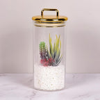 2 Pack 32 oz Large Acrylic Storage Apothecary Jar with Gold Airtight Lid | Bathroom Vanity Organizer Containers | Ideal Decorative Canisters for Shells, Bath Salt, Grains, Cotton Ball, Flossers