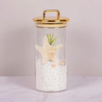 2 Pack 32 oz Large Acrylic Storage Apothecary Jar with Gold Airtight Lid | Bathroom Vanity Organizer Containers | Ideal Decorative Canisters for Shells, Bath Salt, Grains, Cotton Ball, Flossers