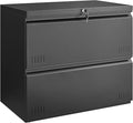 2 Drawer File Cabinet, File Cabinets for Home Office, Printer Stand, File Cabinet with Lock, Lateral Filing Cabinet for A4/Letter/Legal Size File Folders, Assembly Required(Black)