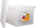 Lorell Storage Case File Box, Clear (LLR68925CT)