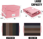 DocSafe Fireproof Document Box with Lock,File Storage Organizer with Zipper Pockets,Collapsible Portable File Box Home Office Safe Filing Cabinet with Handle for Hanging Letter/Legal Folder,Pink