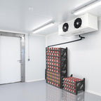 Shelf Reliance Cansolidator Max Small - 1-Pack Can Organizer for Pantry, Stackable Soda Can Storage for Kitchen, Holds 156 Cans of Food or Soda