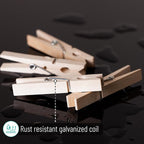 Mr. Pen- Wooden Clothes Pins, Large Natural Wood, 50 Pack, 2.9 Inch, Rust Resistant for Classroom, Crafts
