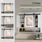 Farmhouse Lighted Medicine Cabinet with Mirror,Sliding Barn Door Mirrored Medicine Cabinet for Bathroom,3-Color Memory LED Medicine Cabinets Mirror Wall Mounted for Kitchen/Laundry,28x35
