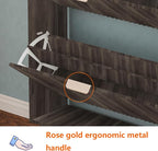 Shoe Cabinet Storage,Modern Freestanding Organizer with 2 Flip Drawers,Narrow Shoe Rack Cabinet for Entryway,Walnut