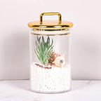 2 Pack 24 oz Medium Acrylic Storage Apothecary Jar with Gold Airtight Lid | Bathroom Vanity Organizer Containers | Ideal Decorative Canisters for Shells, Bath Salt, Grains, Cotton Ball, Flossers