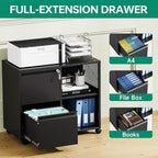 Letaya Mobile File Cabinet, Metal Lateral Rolling Printer Stand Filing Cabinets with Shelves for Home Office-Storage A4/F4 (Black)