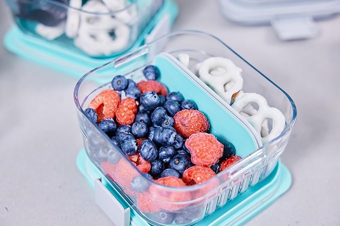Packit, Bento Mod Snack Mint