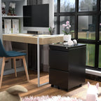 METAN Fully Assembled 2 Drawer File Cabinet with Lock, Mobile Under Desk Filing Cabinet for Office Legal/Letter Size, Pre Assembled Except Wheels,Black