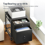 HOOBRO File Cabinet, 2-Drawer Vertical Mobile Office Cabinet, Rolling Printer Stand, for A4/Letter Size Files, Nonwovens Drawer, for Home Office, Black BB21WJ01