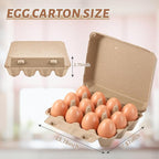 20 Pack Egg Cartons Bulk - 3×4 Style Reusable Cardboard Cartons 12 Count, Dozen Chicken Egg Crates