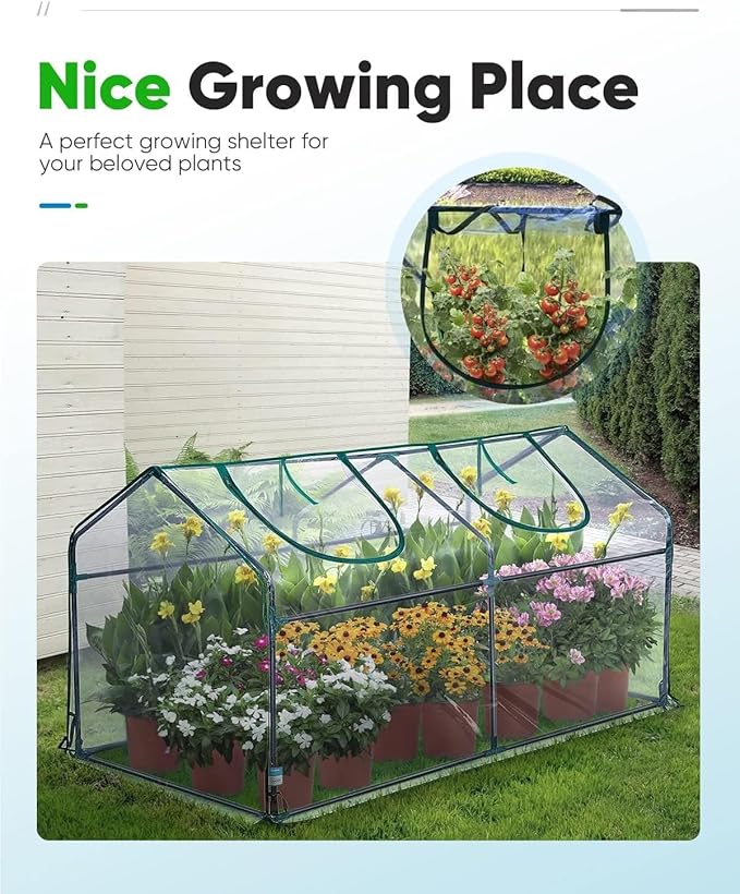 Quictent Mini Greenhouse, Portable Quick-Setup Small Tabletop Waterproof UV Protected PVC Cover Shelter for Outdoors/Indoors W/ Raised Base for Garden Plant Seed Starting, 71"x36"x36" Clear