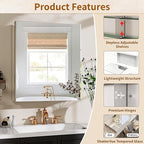 BEAUTYPEAK Bathroom Medicine Cabinet Mirror with Storage, 20 Inch x 24 Inch Silver Medicine Cabinet with Single Door & Adjustable Shelves for Vanity, Tempered, Aluminum Surface, Wall-mount or Recessed