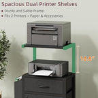 2-Drawer File Cabinet, Filing Cabinet with 2-Tier Printer Shelves, Office Cabinets with Side Bag&File Drawer for A4/Letter Size, Printer Stand with Storage for Home Office, Black, 16.5" W