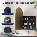 Medicine Cabinets for Bathroom, Brush Gold Arched Medicine Cabinet Recessed or Surface Wall-Mounted,Modern Bathroom Vanity Mirror with Storage, Mirrored Cabinet with Adjustable Shelves,20x30 Inch