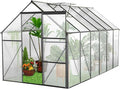 6x10 FT Heavy-Duty Greenhouse with Adjustable Roof Vent and Polycarbonate Panels - Walk-in Aluminum Frame Greenhouse for Backyard, Winter - All-Weather Outdoor Garden, Easy Assembly, Black (6x10 FT)