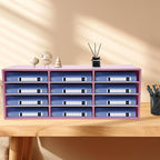12 Compartments Desk Literature Organizer, Countertop Mail Sorter Organizer,Student Mailbox for Classroom, Desktop Paper Organizer for Home Office School, Pink