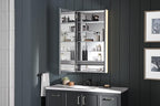 Kohler 81148-SLE-DA1 Maxstow Frameless Medicine Cabinet Mirror with Lights, LED Light, Mirror Door & Staggered Shelves, Rectangular Frame, 22 in. W x 40 in. H