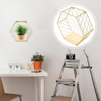 Wall-Mounted Iron Storage Rack Punch-Free Decorative Hexagon Shelf Gold Finish with Hooks for Bathroom and Living Room Organization