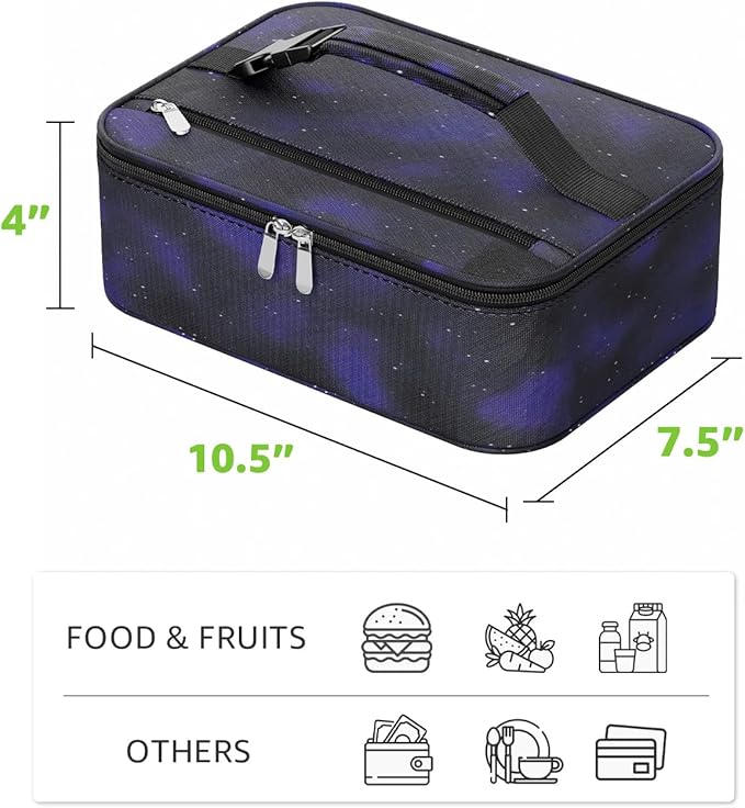 Small Lunch Box Insulated Lunch Bag for Women Men, Bento Kids Lunch Box, Compact Portable Thermal Meal Cooler Bags with Buckle Handle for Work & School, Astral 5L