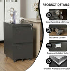 2 Drawer File Cabinet with Lock, Heavy-Duty Metal Rolling Filing Cabinet for Home Office, Under Desk Printer Stand with 5 Wheels, Required Assembly with Video Guide, Fits Letter/Legal Size, Black