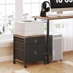 HOOBRO File Cabinet, 2-Drawer Vertical Mobile Office Cabinet, Rolling Printer Stand, for A4/Letter Size Files, Nonwovens Drawer, for Home Office, Rustic Brown and Black BFK21WJ01