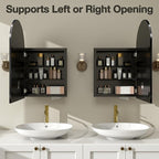 Arched Medicine Cabinet Mirror No Assembly Needed Bathroom Mirror with Storage Recessed or Surface Mount Options (Black, 31.5" L x 19.7" W)