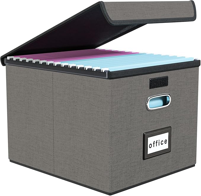 Huolewa File Organizer Box with Lid, Collapsible File Folder Organizer for Office Document Storage, Filing Box with Plastic Slide for Letter Size Hanging File Folders(1 Pack, Smoky Grey)