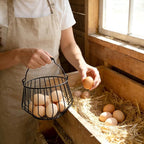 Wire Egg Basket for Gathering Fresh Eggs 24 Capacity Vintage Chicken Coop Basket with Handle for Farmhouse Kitchen Countertop and Rustic Easter Egg Display