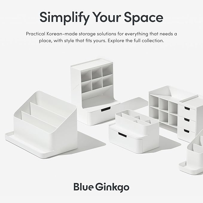 BLUE GINKGO Desk Organizer – Korean-Made Office Storage for Pens, Notes, Mail, and Supplies (Green)