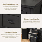 3 Drawer File Cabinet, Farmhouse Lateral Filing Cabinet with Doors Fits Letter or A4 Size, Wooden Printer Stand with Open Storage Adjustable Shelf for Home Office, Rustic Black